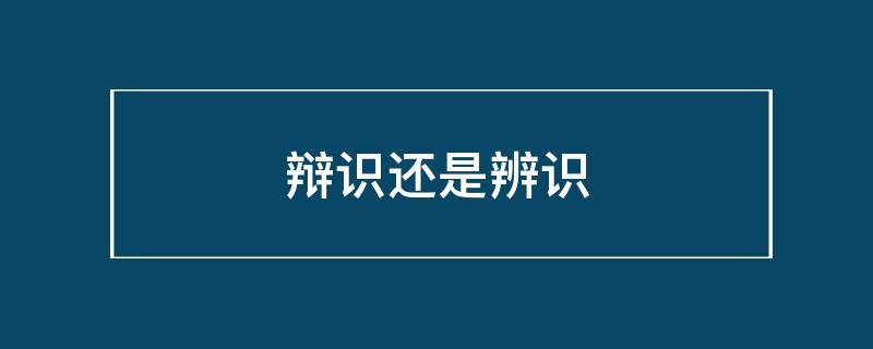 辩识还是辨识
