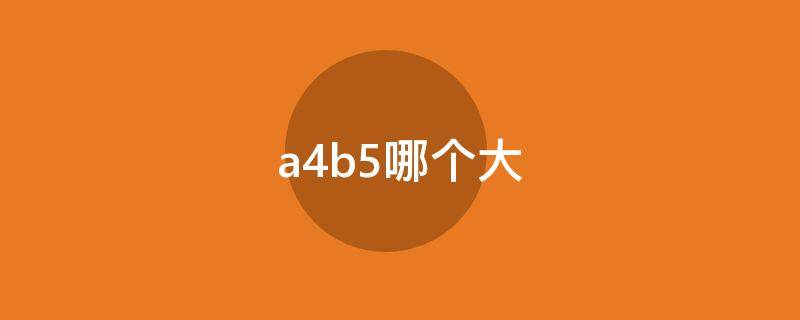 a4b5哪个大