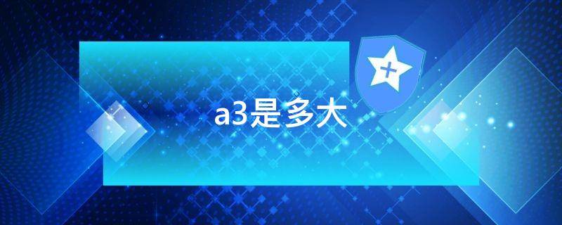 a3是多大