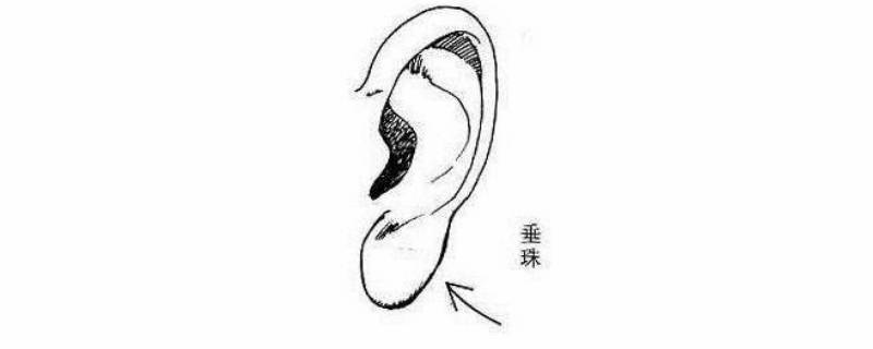 耳珠是哪个部位