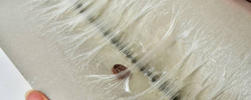 老鼠胶怎么洗掉