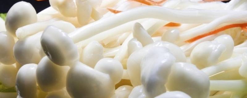 金针菇可以隔夜吃吗