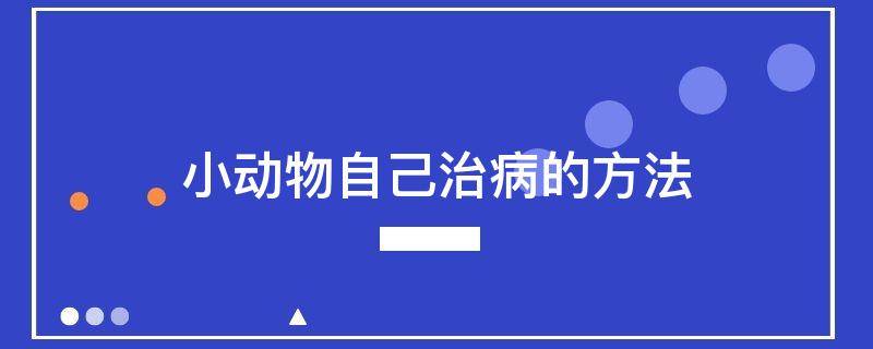 小动物自己治病的方法