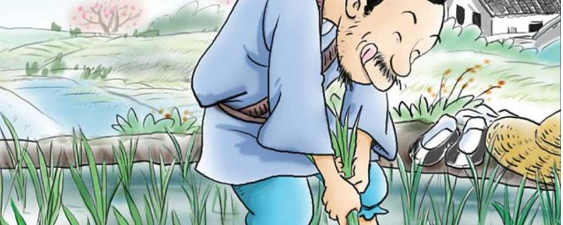 揠苗助长和拔苗助长有什么区别