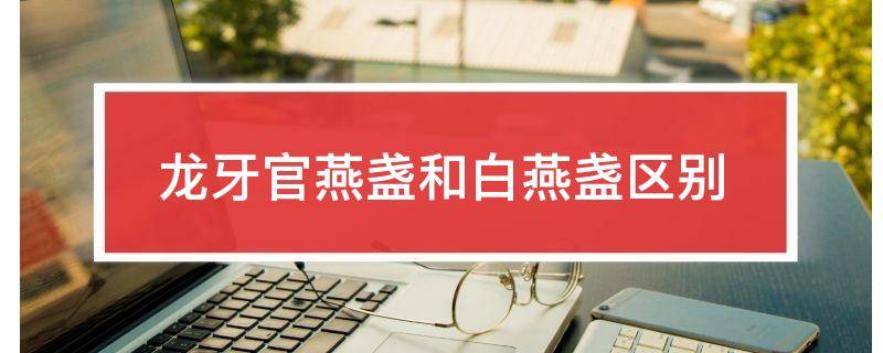 龙牙官燕盏和白燕盏区别