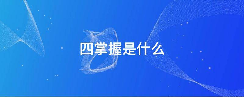 四掌握是什么