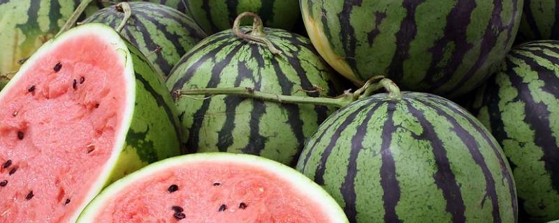 网红切西瓜方法