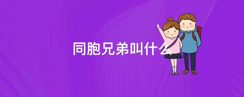 同胞兄弟叫什么