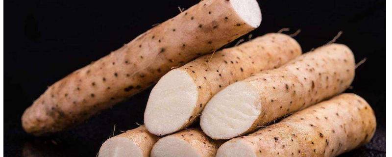 山药和淮山的营养区别