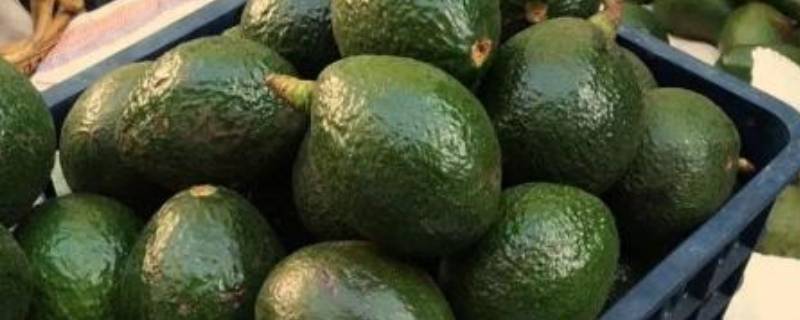 牛油果软了是坏了吗