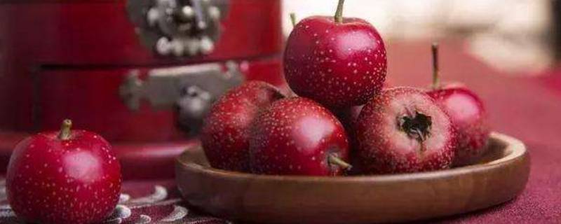 山楂放冰箱保存可以吗
