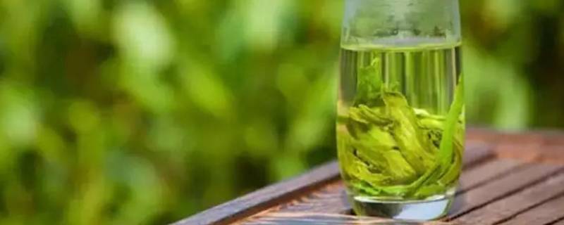 冰糖可以和绿茶一起泡吗