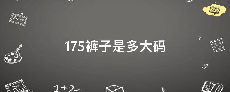 175裤子是多大码