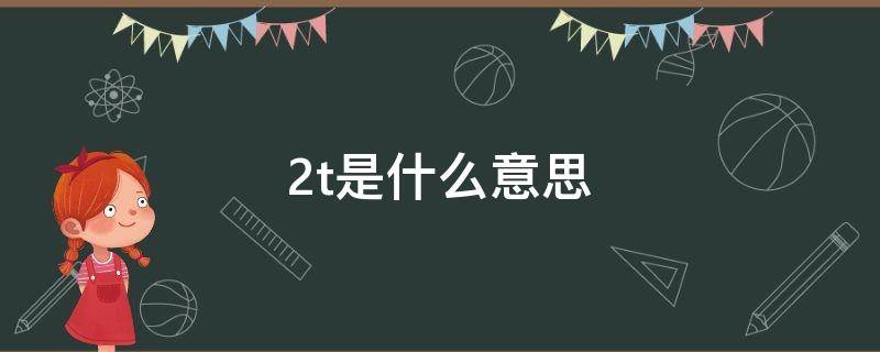 2t是什么意思