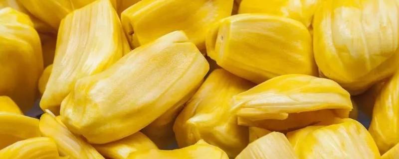 菠萝蜜常温下可以放多久