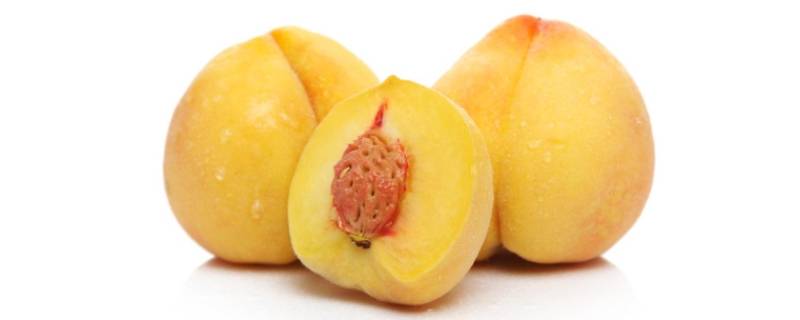 冰冻的黄桃解冻后能吃不