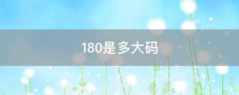 180是多大码