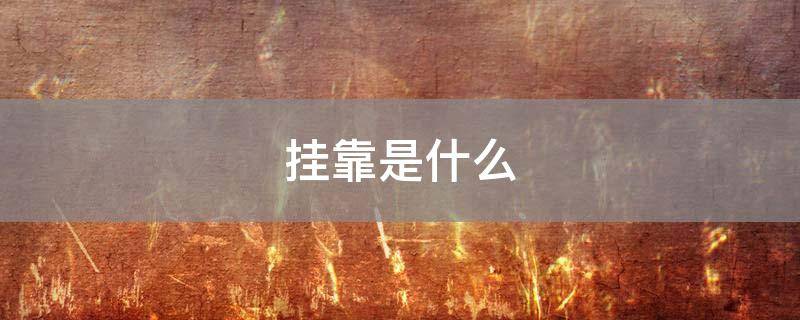 挂靠是什么