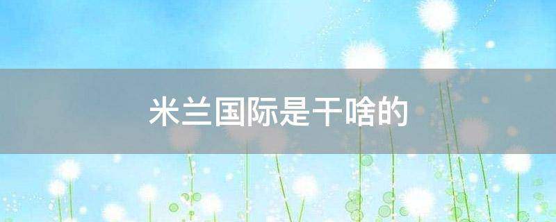 米兰国际是干啥的