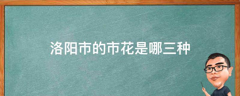 洛阳市的市花是哪三种