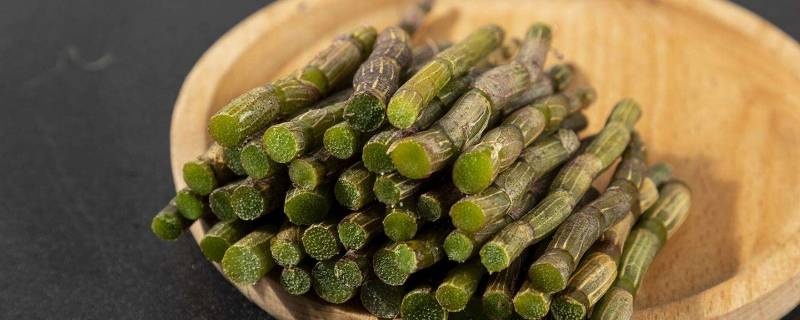 石斛鲜条如何保存