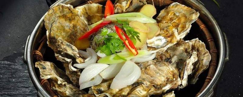 生蚝冷冻可以保存多久