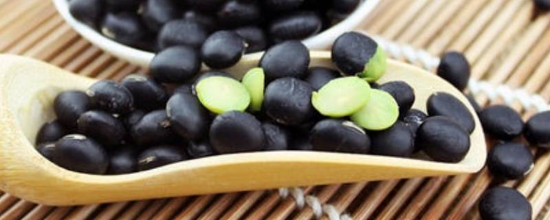 黑豆绿心和黄心的区别