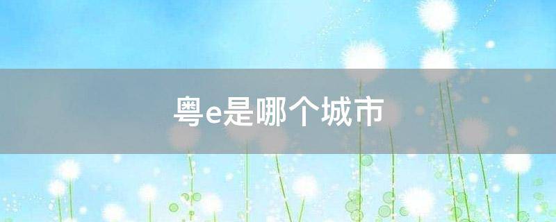 粤e是哪个城市