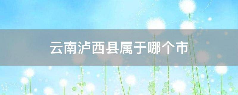 云南泸西县属于哪个市