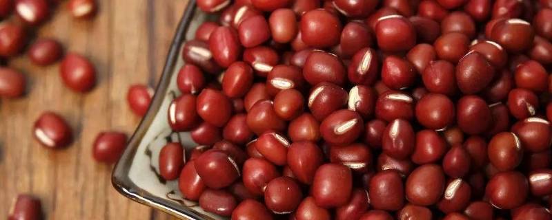 红豆薏米粥可以放红枣吗