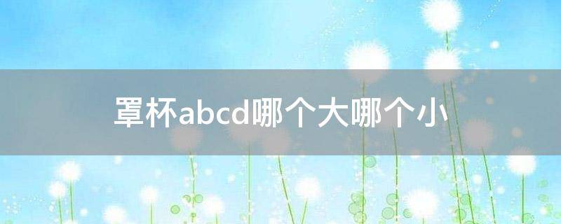 罩杯abcd哪个大哪个小