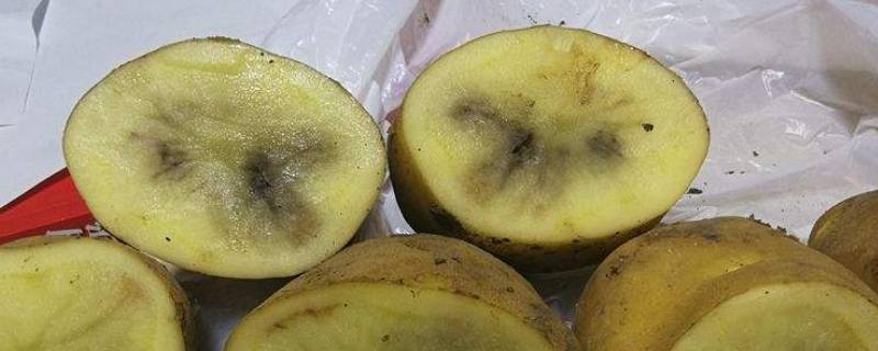 隔夜的土豆发黑还能吃吗