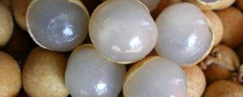 桂圆干发霉了还能吃吗