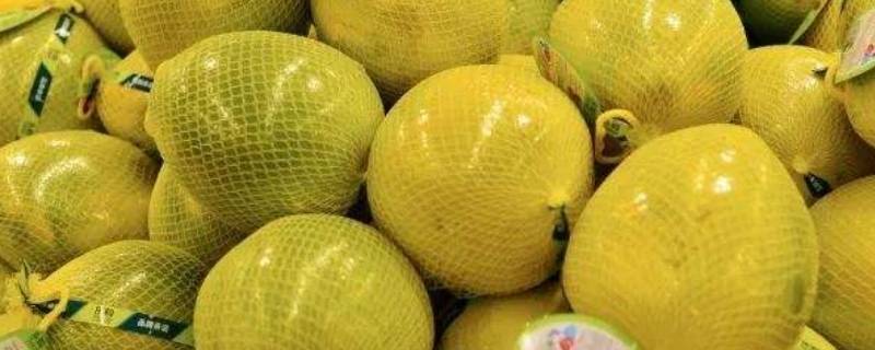 柚子底部有小洞为什么