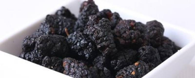 干桑葚泡水能反复泡吗