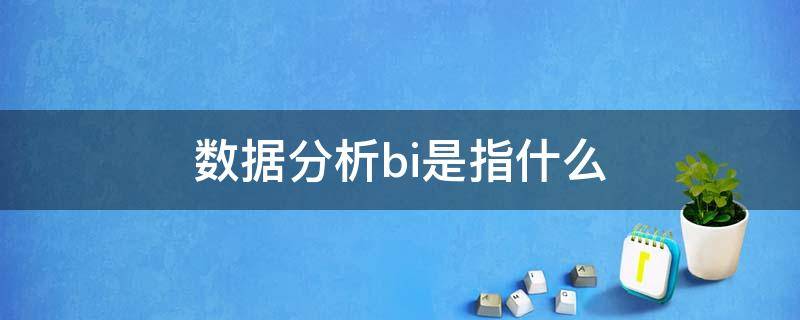 数据分析bi是指什么