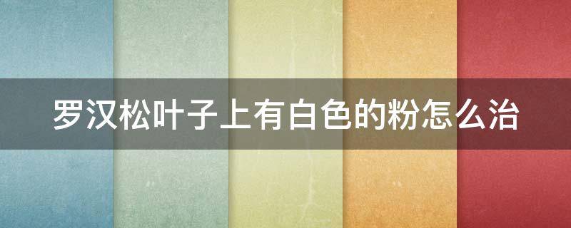 罗汉松叶子上有白色的粉怎么治