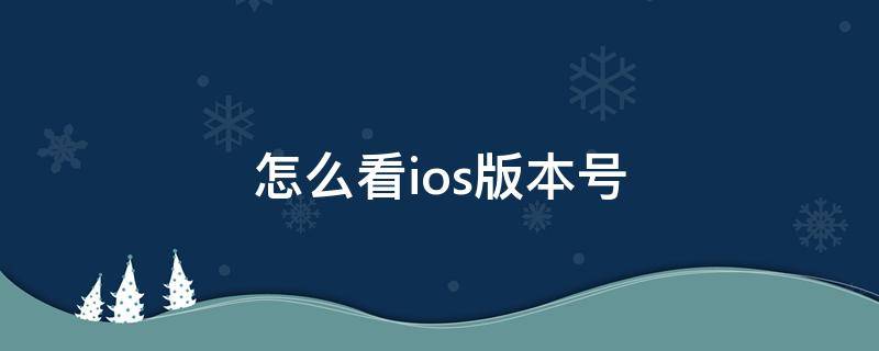 怎么看ios版本号