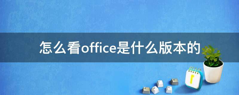 怎么看office是什么版本的