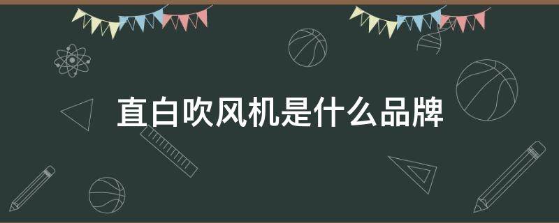 直白吹风机是什么品牌