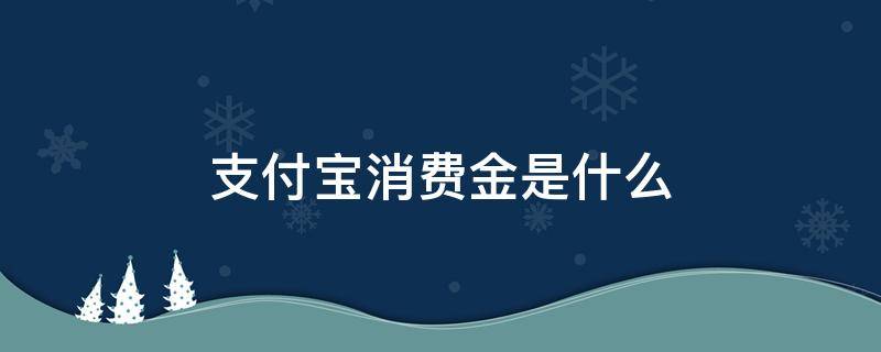 支付宝消费金是什么