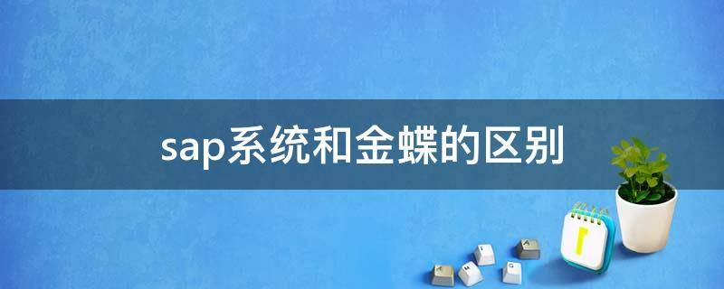 sap系统和金蝶的区别