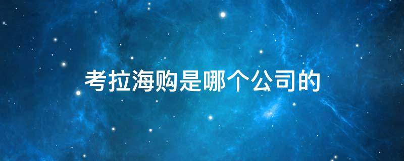 考拉海购是哪个公司的