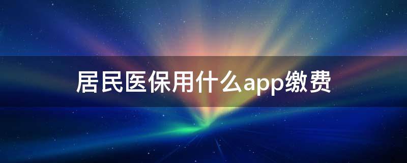 居民医保用什么app缴费