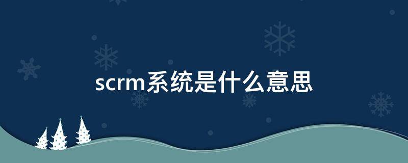 scrm系统是什么意思