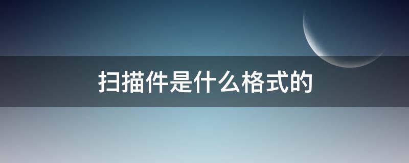 扫描件是什么格式的