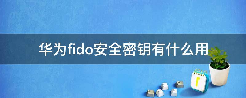 华为fido安全密钥有什么用