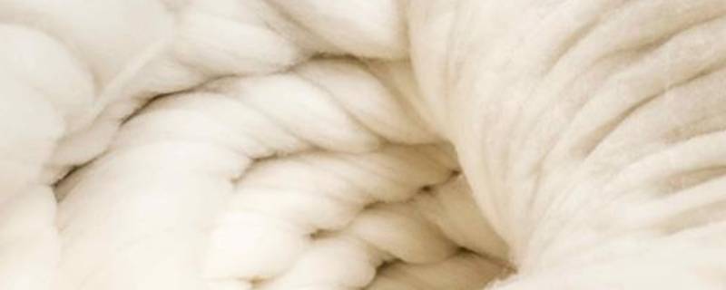 100wool是羊毛还是羊绒