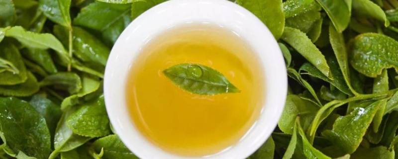 茶多酚最多的是什么茶