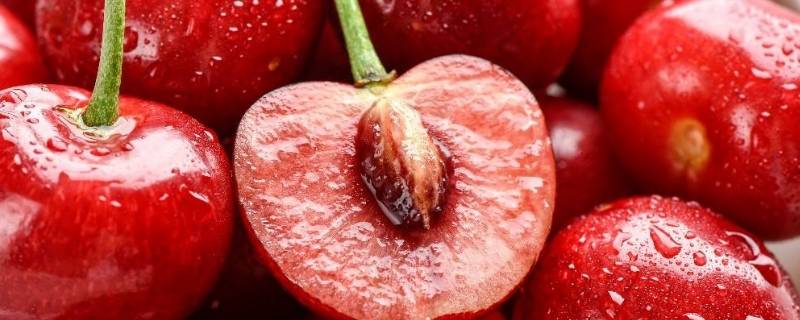 kordia车厘子哪国产